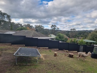 Colorbond Fence