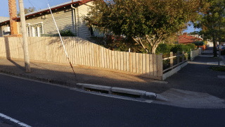 Treated Pine Paling Fence in Blackburn